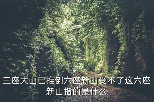 新三座大山反映了什么，新三座大山指的是什么
