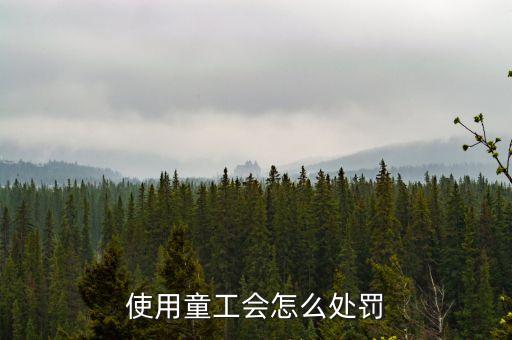 勞動法中用童工有什么懲罰，使用童工會怎么處罰