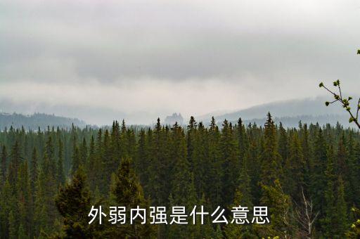 外弱內(nèi)強(qiáng)的是什么，外弱內(nèi)剛是什么意思