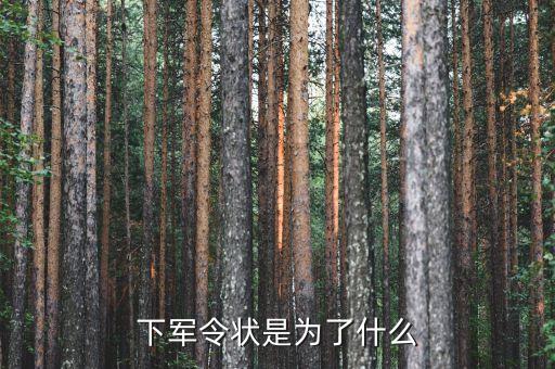 軍令狀目的是什么，下軍令狀是為了什么
