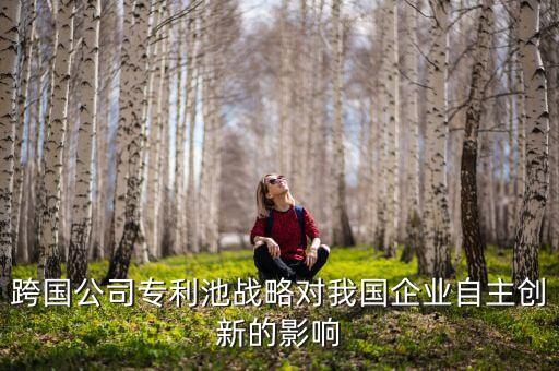 北京君正是什么公司，跨國公司專利池戰(zhàn)略對(duì)我國企業(yè)自主創(chuàng)新的影響