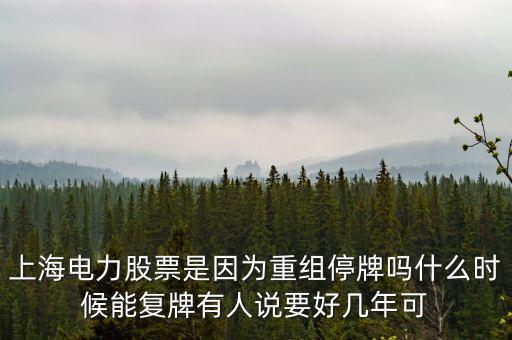 上海電氣什么時(shí)間復(fù)牌，上海電力股票是因?yàn)橹亟M停牌嗎什么時(shí)候能復(fù)牌有人說要好幾年可