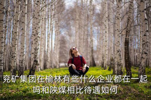 兗州煤業(yè)公司經(jīng)營什么，兗礦集團(tuán)在榆林有些什么企業(yè)都在一起嗎和陜煤相比待遇如何