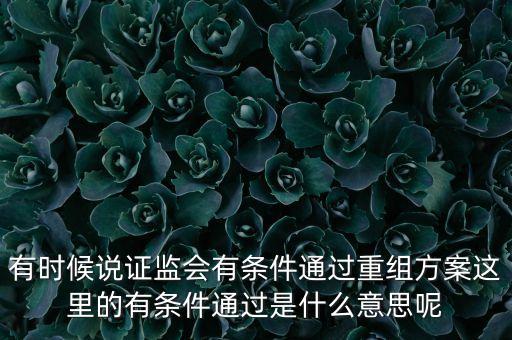 重組項目過會是什么意思，資產(chǎn)重組獲股東大會高票通過什么意思