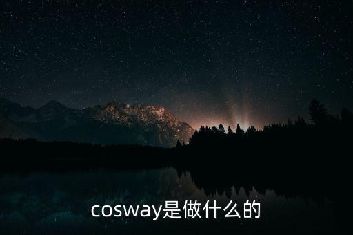 普路通是做什么的，cosway是做什么的