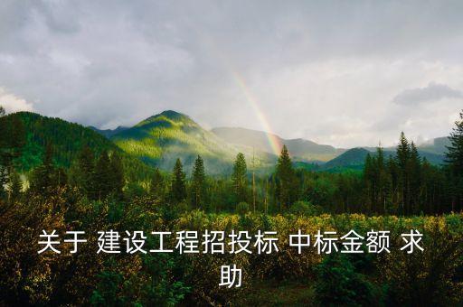 中標金額是什么，關(guān)于 建設(shè)工程招投標 中標金額 求助