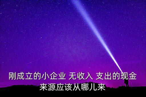 小企業(yè)主為什么沒(méi)現(xiàn)金，剛成立的小企業(yè) 無(wú)收入 支出的現(xiàn)金來(lái)源應(yīng)該從哪兒來(lái)