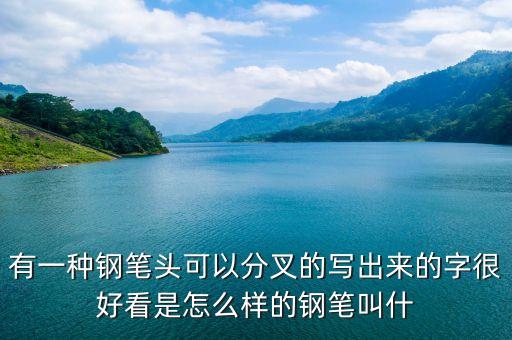 有一種鋼筆頭可以分叉的寫出來(lái)的字很好看是怎么樣的鋼筆叫什