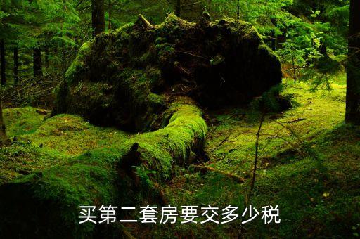 買第2套新普通住房需要交什么稅，購買第二套住房需要交什么稅