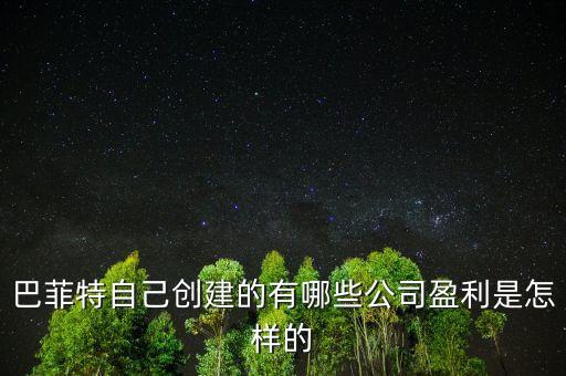 巴菲特是想收購中國的什么公司，巴菲特自己創(chuàng)建的有哪些公司盈利是怎樣的