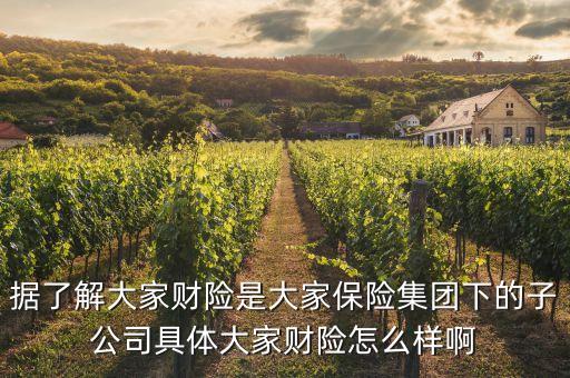 大財(cái)子公司全稱是什么，大財(cái)子什么意思哦