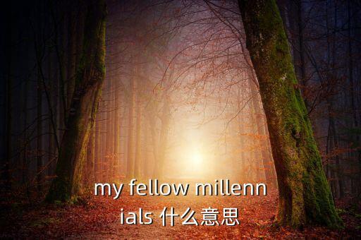 為什么叫千禧一代，my fellow millennials 什么意思
