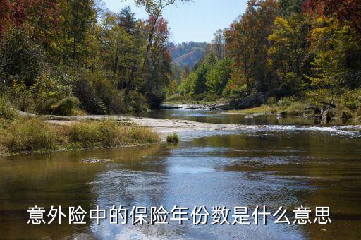 保險數(shù)目指什么，意外險中的保險年份數(shù)是什么意思