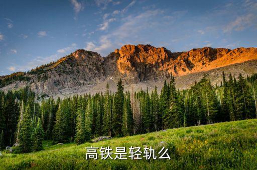 中國高鐵鐵軌叫什么，高鐵是輕軌么