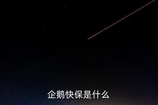 快保保險(xiǎn)是什么公司，企鵝快保是什么