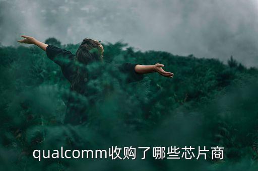 保千里收購什么公司，保千里股票以前叫什么