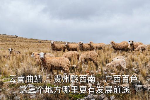 云南曲靖、 貴州黔西南、廣西百色,這三個地方哪里更有發(fā)展前途