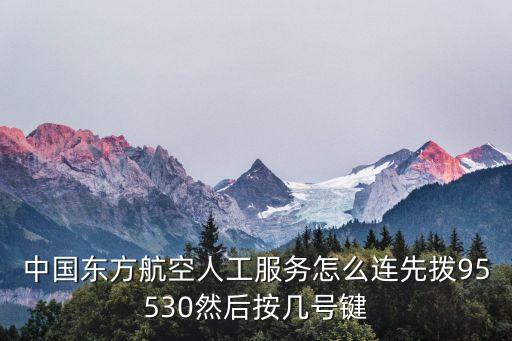 中國東方航空人工服務(wù)怎么連先撥95530然后按幾號(hào)鍵