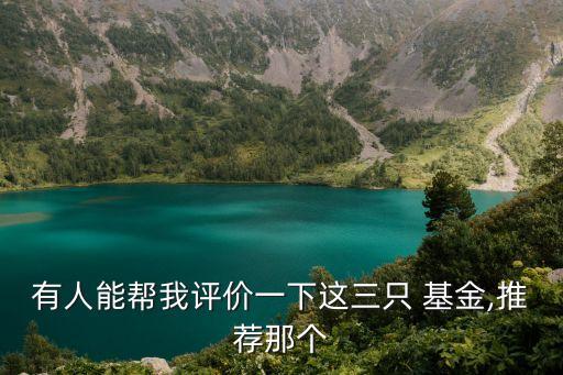 有人能幫我評價(jià)一下這三只 基金,推薦那個(gè)