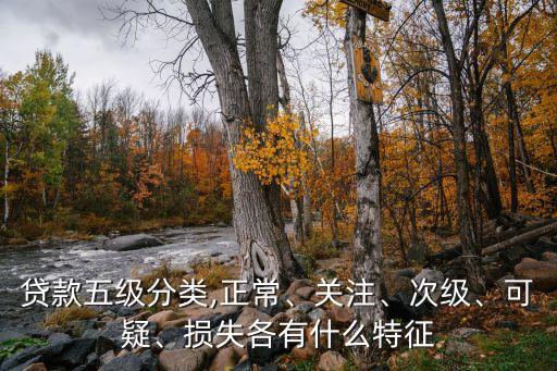 貸款五級(jí)分類,正常、關(guān)注、次級(jí)、可疑、損失各有什么特征