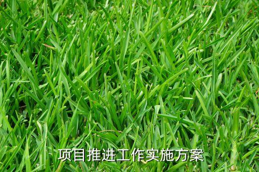  項目推進工作實施方案