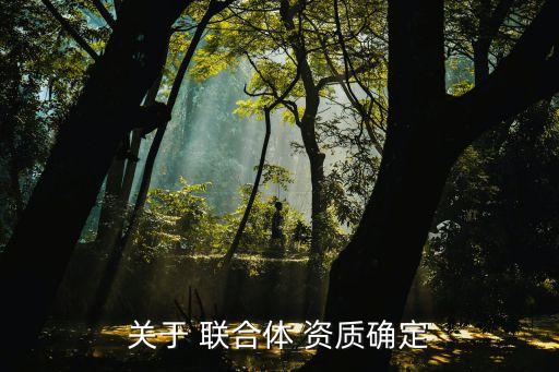 株洲聯(lián)合城市建設(shè)有限責(zé)任公司注冊資質(zhì)