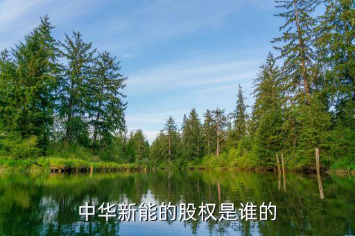 中華新能的股權是誰的