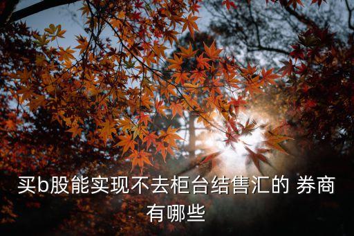 買b股能實現(xiàn)不去柜臺結售匯的 券商有哪些