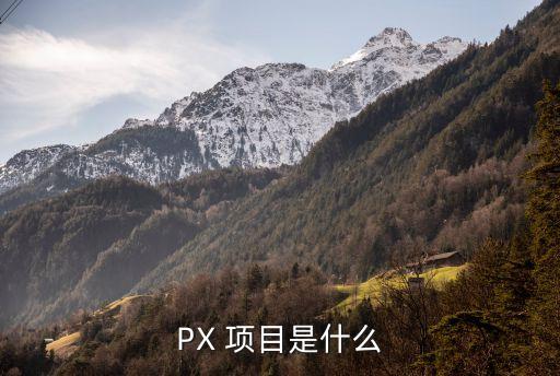 PX 項(xiàng)目是什么