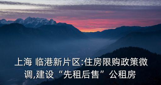  上海 臨港新片區(qū):住房限購政策微調,建設“先租后售”公租房