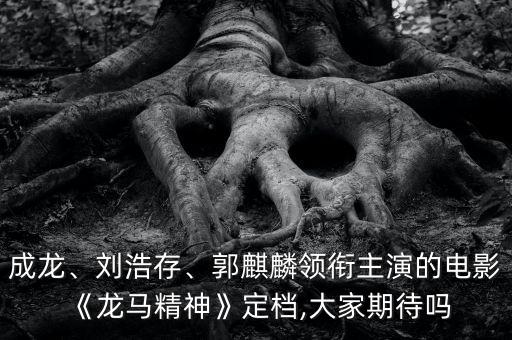 成龍、劉浩存、郭麒麟領(lǐng)銜主演的電影《龍馬精神》定檔,大家期待嗎