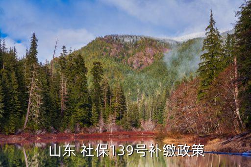  山東 社保139號補(bǔ)繳政策
