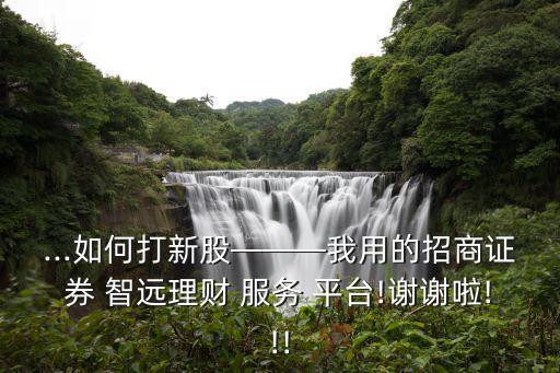 怎么智遠服務(wù)平臺交易股票,甬興服務(wù)平臺交易股票