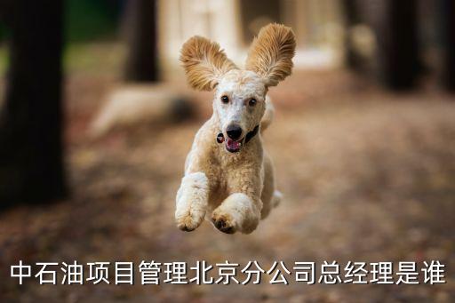 中石油項(xiàng)目管理北京分公司總經(jīng)理是誰