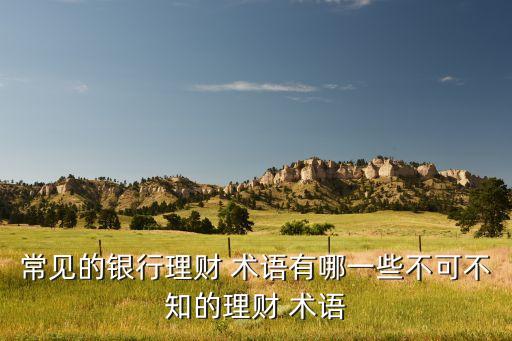 常見的銀行理財(cái) 術(shù)語(yǔ)有哪一些不可不知的理財(cái) 術(shù)語(yǔ)