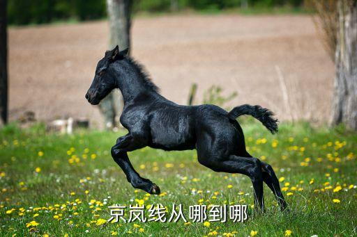 京福馬集團(tuán),中國福馬機械集團(tuán)級別