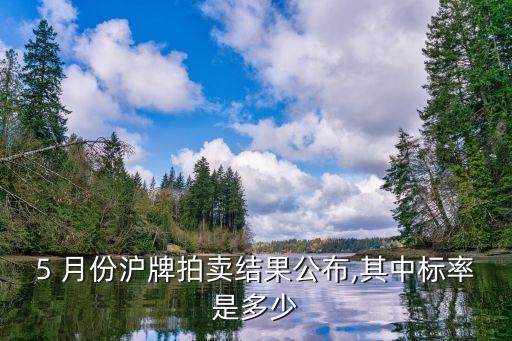 5 月份滬牌拍賣結果公布,其中標率是多少