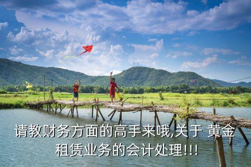 請教財務方面的高手來哦,關于 黃金 租賃業(yè)務的會計處理!!!