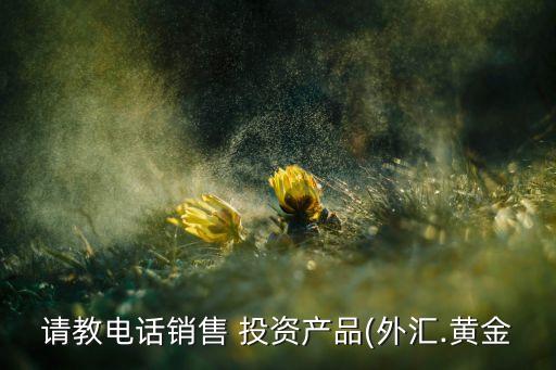 請(qǐng)教電話銷售 投資產(chǎn)品(外匯.黃金