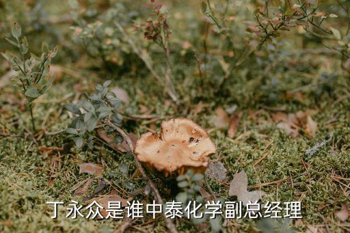 中化建精細化工有限責(zé)任公司,山西康特爾精細化工有限責(zé)任公司