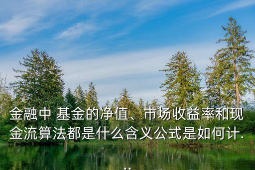 金融中 基金的凈值、市場收益率和現(xiàn)金流算法都是什么含義公式是如何計(jì)...