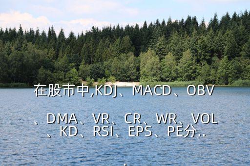 在股市中,KDJ、MACD、OBV、DMA、VR、CR、WR、VOL、KD、RSI、EPS、PE分...