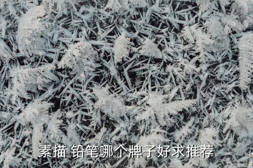 中國(guó)中華第一鉛筆股份有限公司