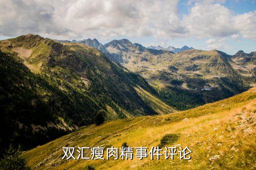 雙匯瘦肉精事件評(píng)論