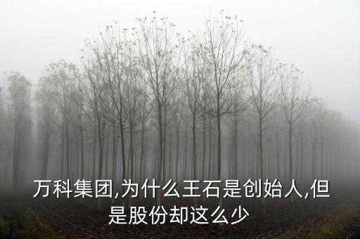  萬科集團(tuán),為什么王石是創(chuàng)始人,但是股份卻這么少