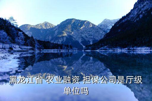 財政農業(yè)投資擔保有限公司,周口市財政信用投資擔保有限公司