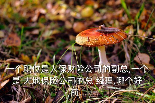 中國大地保險赤峰經理,大地保險赤峰分公司電話