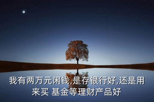 我有兩萬(wàn)元閑錢,是存銀行好,還是用來(lái)買 基金等理財(cái)產(chǎn)品好