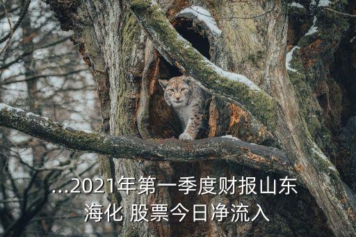 st?；善?海化股票歷史交易數(shù)據(jù)