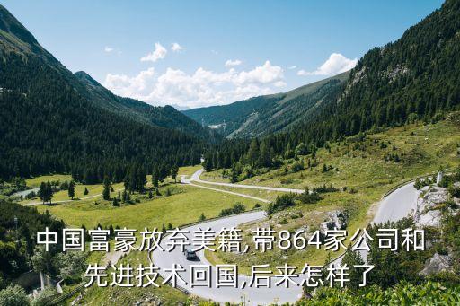 中國富豪放棄美籍,帶864家公司和先進(jìn)技術(shù)回國,后來怎樣了